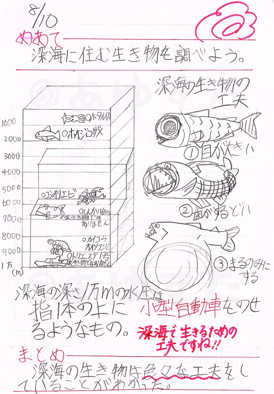 自主学習ノート 深海に住む生き物を調べよう あゆすた